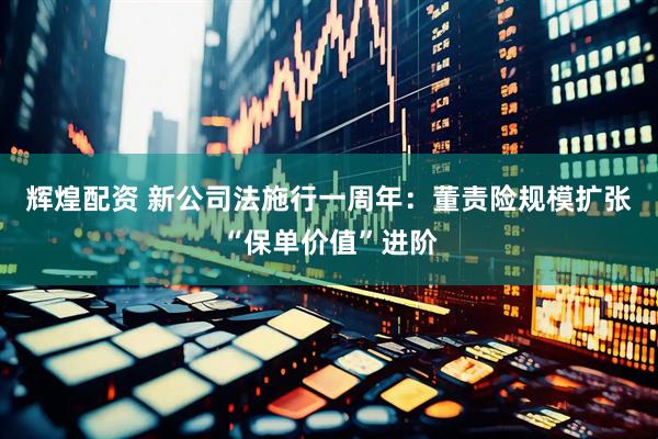 辉煌配资 新公司法施行一周年：董责险规模扩张“保单价值”进阶