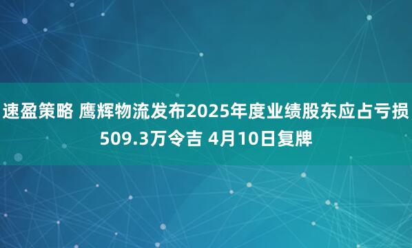 速盈策略 鹰辉物流发布2025年度业绩股东应占亏损509.3万令吉 4月10日复牌