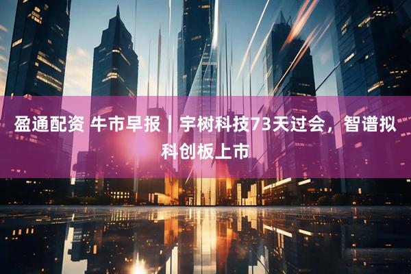 盈通配资 牛市早报｜宇树科技73天过会，智谱拟科创板上市